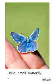 Hello,Butterfly绘本故事第4页