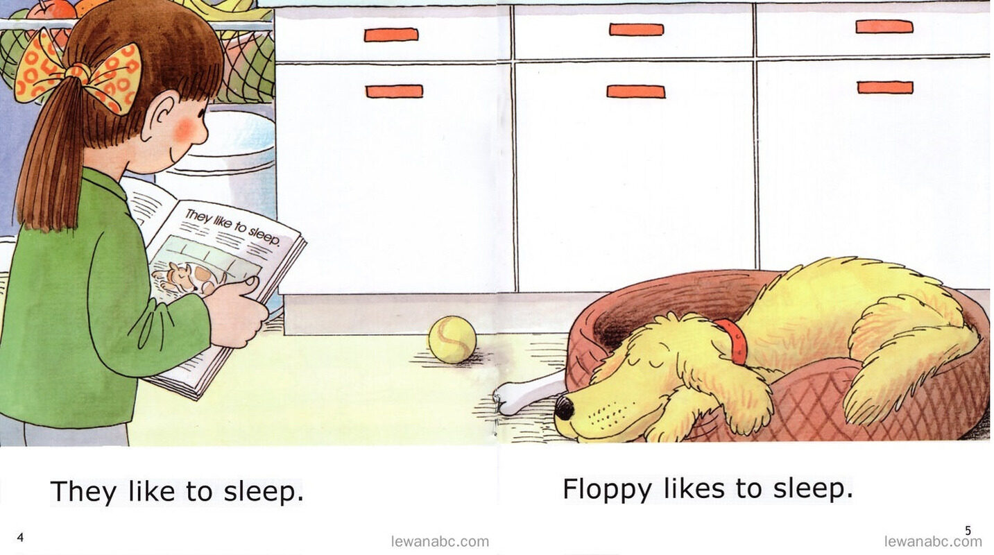 What Dogs Like绘本故事第5页