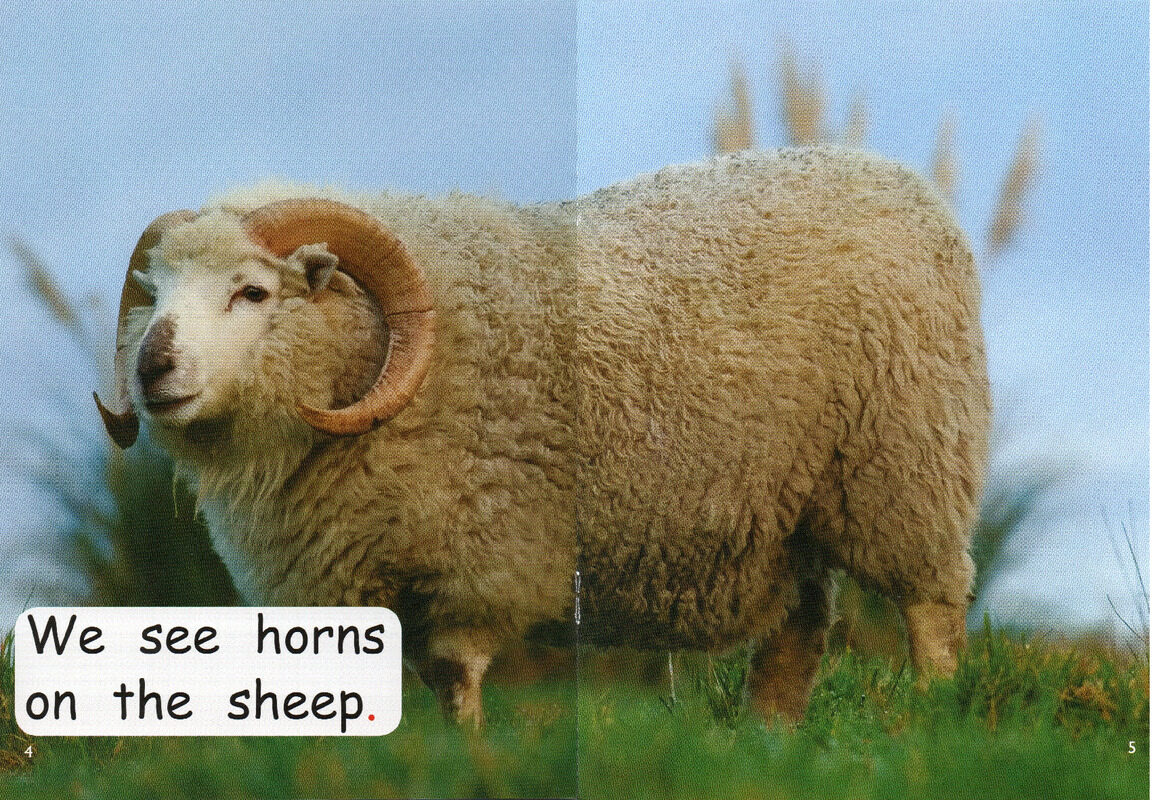 who has horns？绘本故事第4页