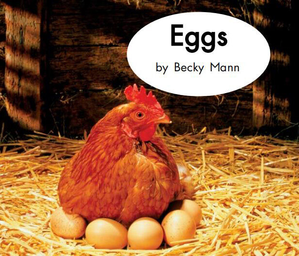 Eggs绘本故事第2页
