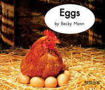 Eggs绘本故事第2页