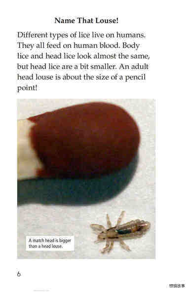 Lice Aren't Nice绘本故事第5页