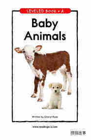 Baby Animals