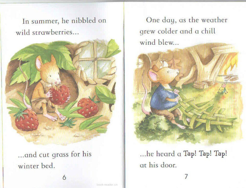 The Town Mouse and the CountryMouse绘本故事第5页