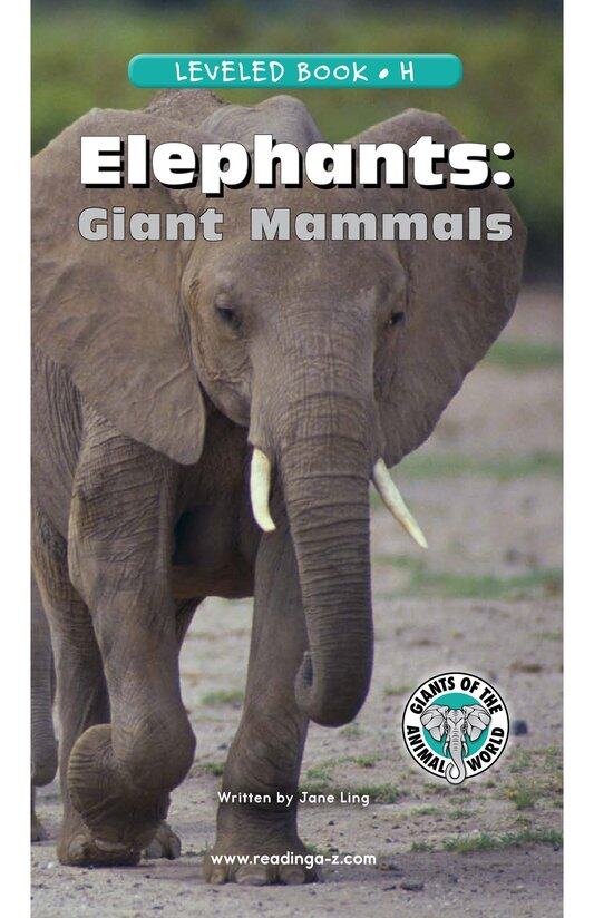 Elephants Giant Mammals绘本故事第2页
