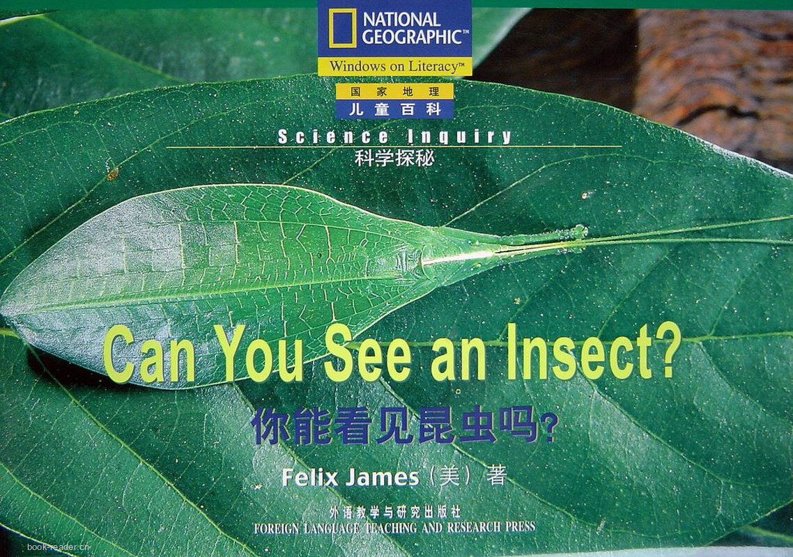 Can You See An Insect绘本故事第2页