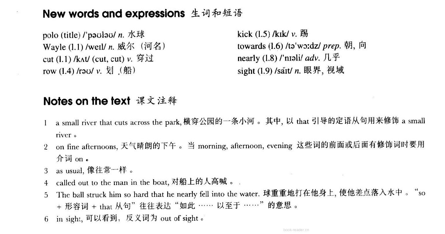 30 Football or polo?绘本故事第3页