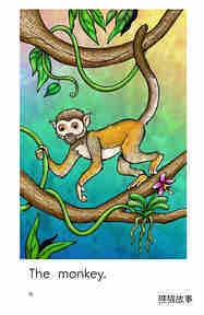 Rainforest Animals绘本故事第4页