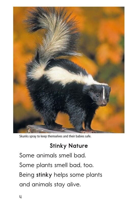 Nature Stinks!绘本故事第3页