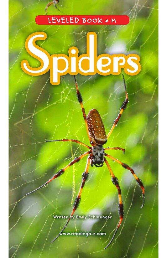 Spiders绘本故事第2页