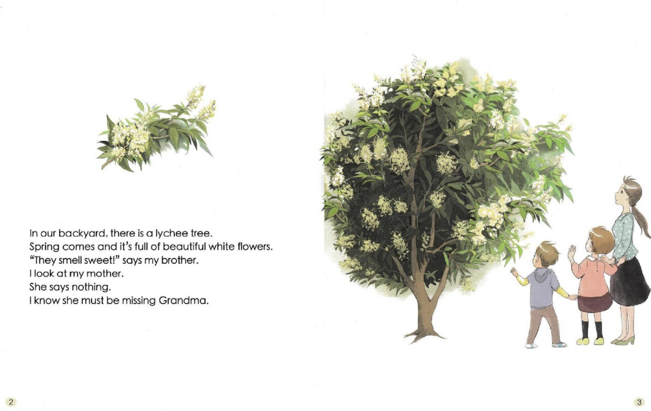 The Lychee Tree绘本故事第3页