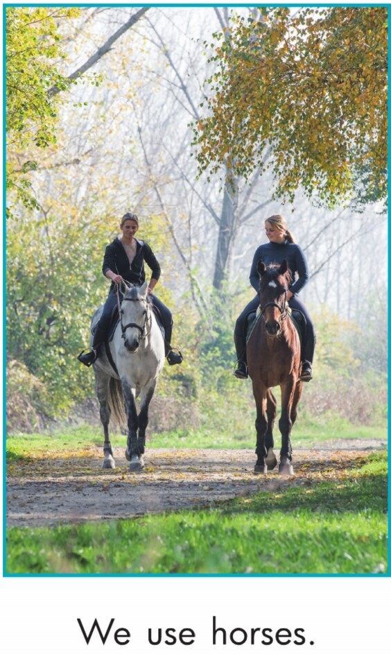 We Travel绘本故事第5页