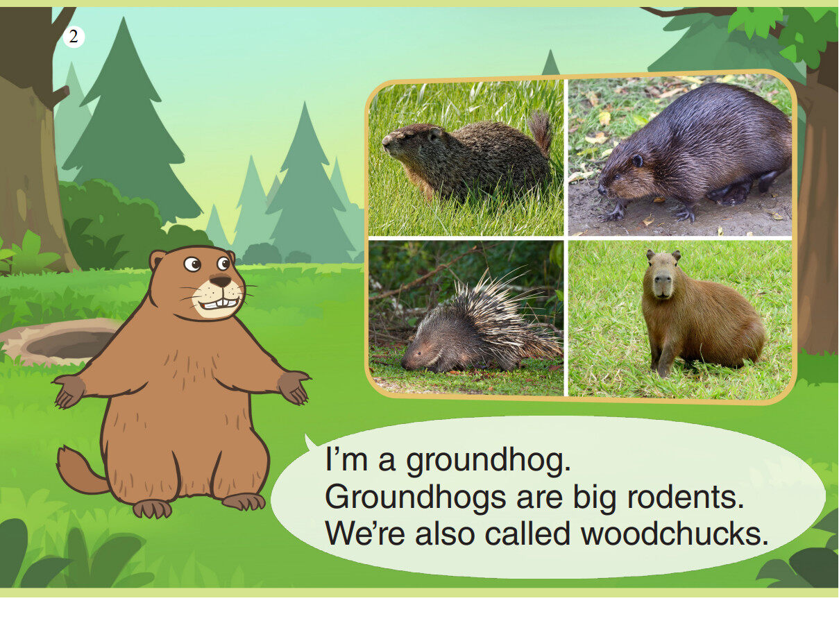 Groundhog绘本故事第3页