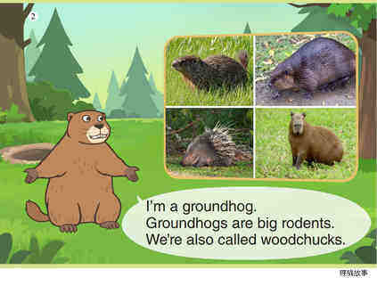 Groundhog绘本故事第3页