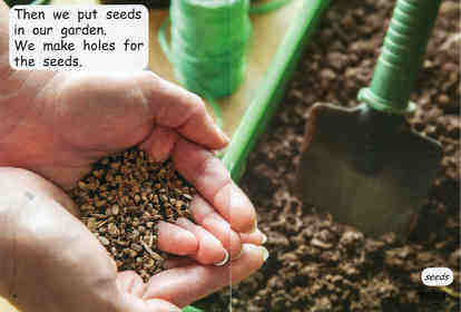 grow a garden绘本故事第4页