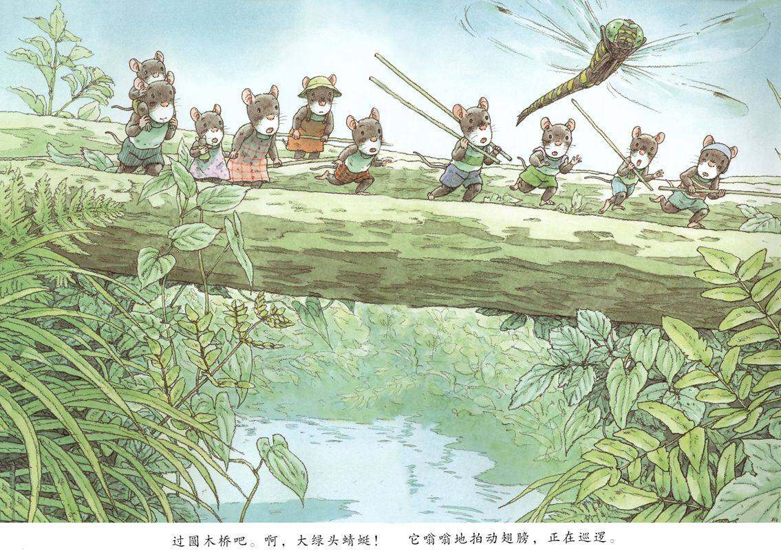 14只老鼠的蜻蜓池塘绘本故事第4页