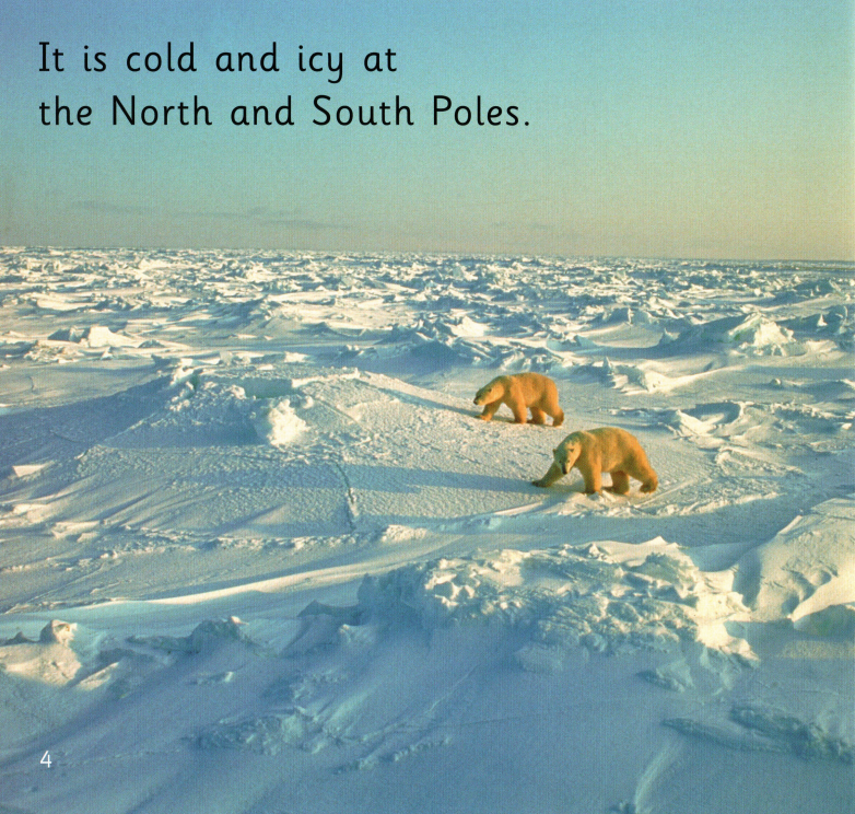 Our World绘本故事第4页