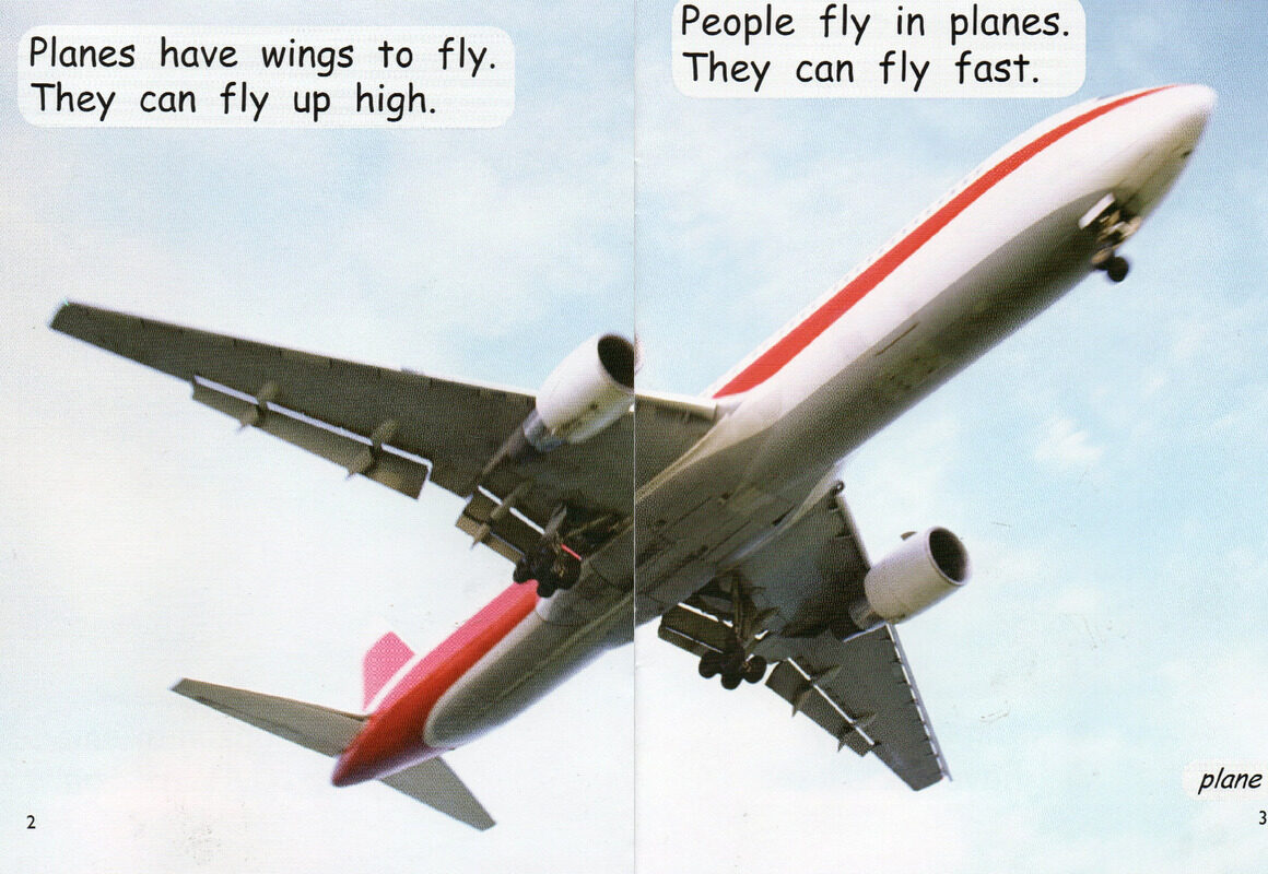 things with wings绘本故事第3页