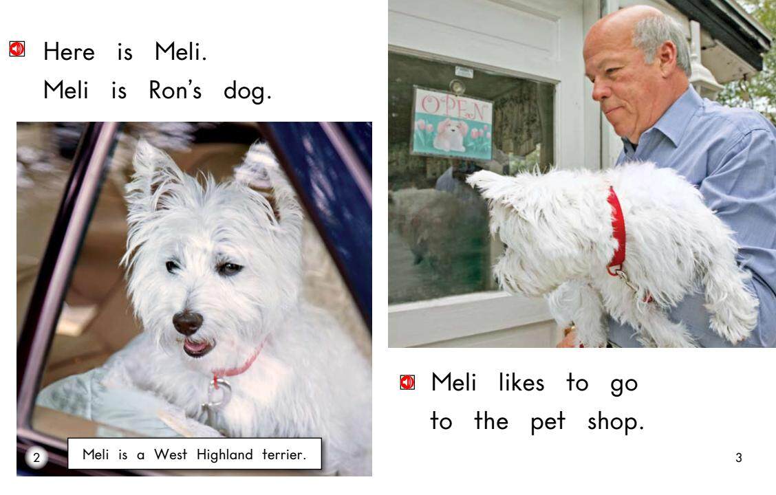 Meli at the Pet Shop绘本故事第3页