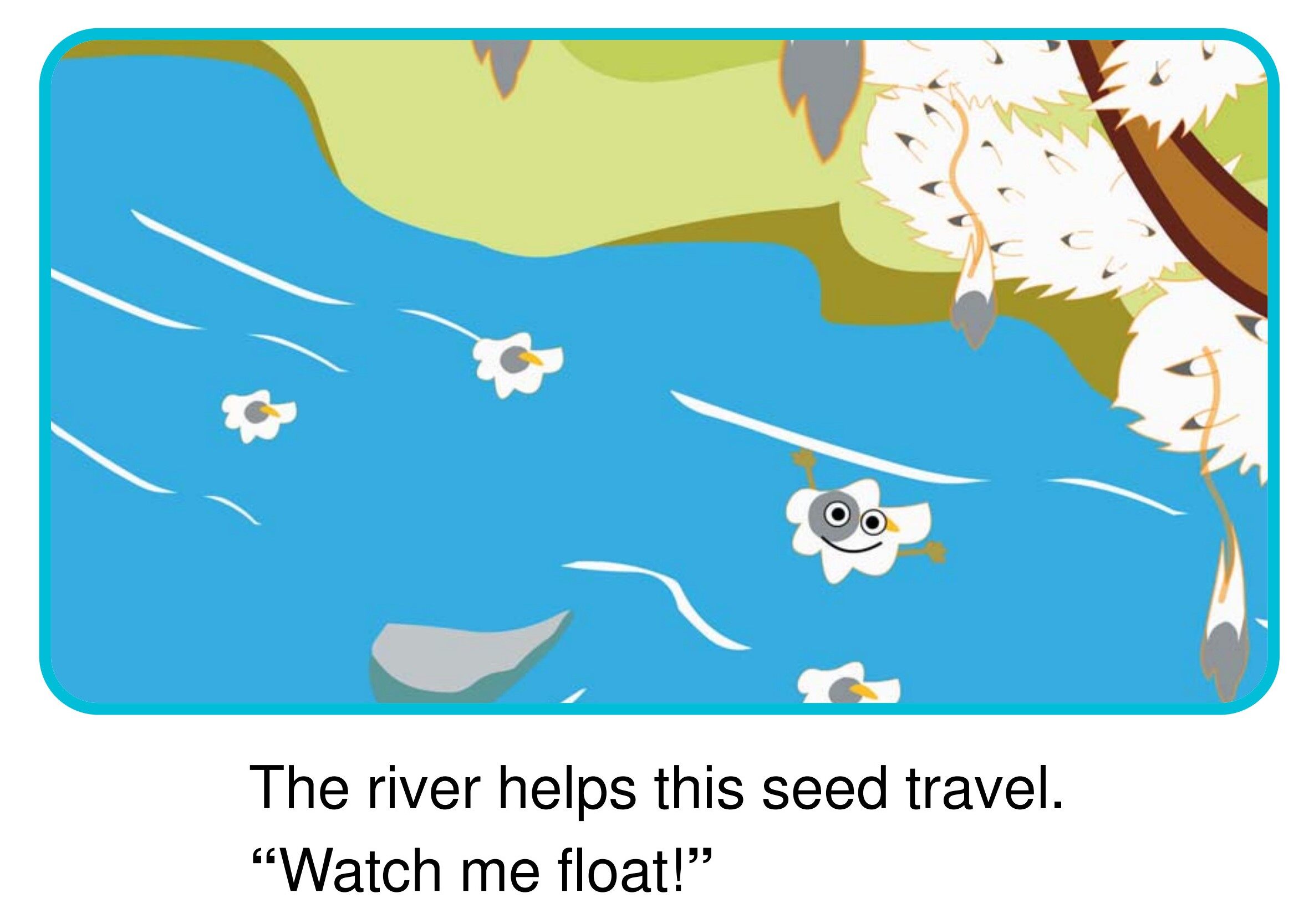 How Do Seeds Travel?绘本故事第5页