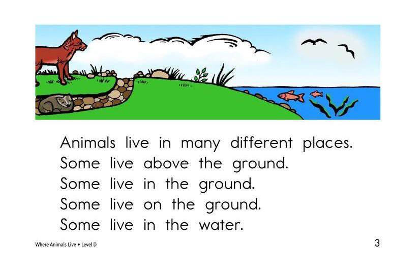 Where Animals Live绘本故事第3页