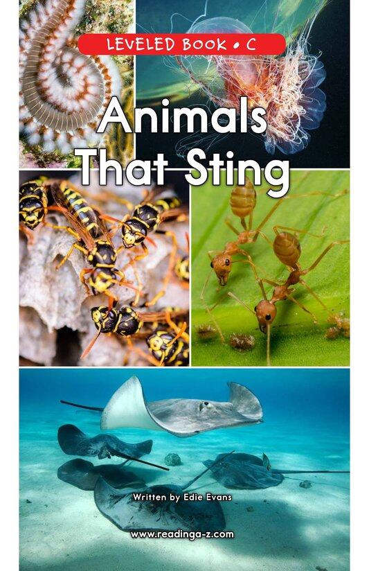 Animals That Sting绘本故事第2页