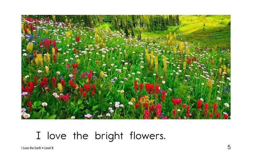 I Love the Earth绘本故事第5页