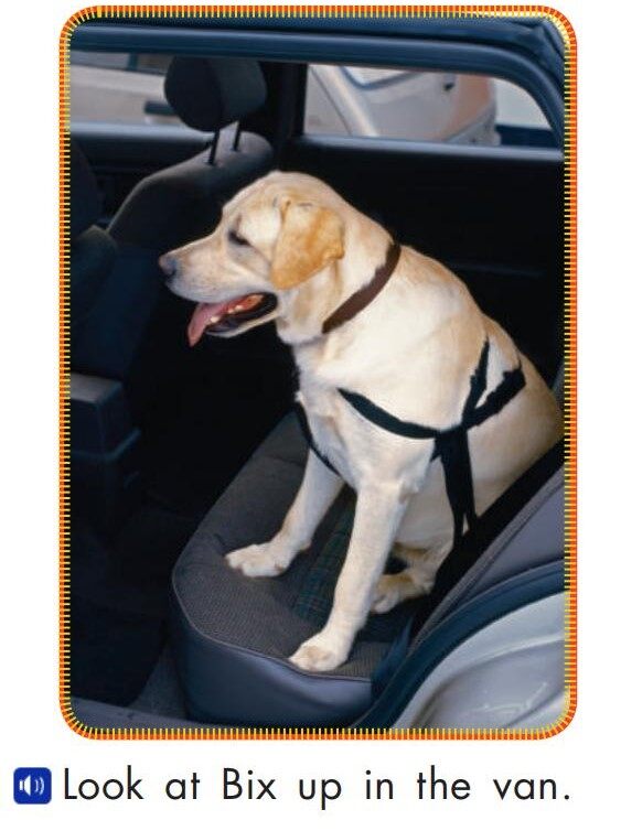 Look at Bix绘本故事第4页