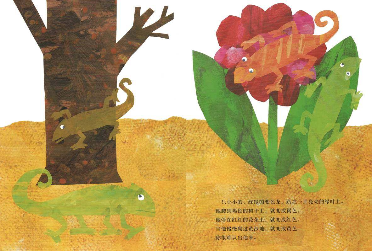 拼拼凑凑的变色龙绘本故事第2页
