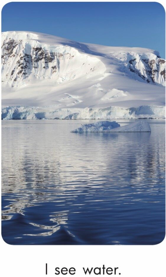 Antarctic Adventures绘本故事第3页