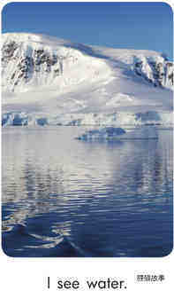 Antarctic Adventures绘本故事第3页