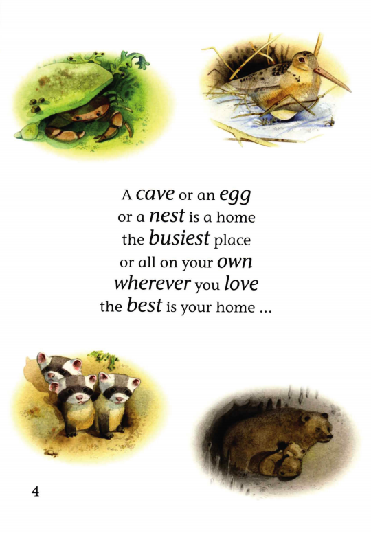 Homes Sweet Homes绘本故事第4页