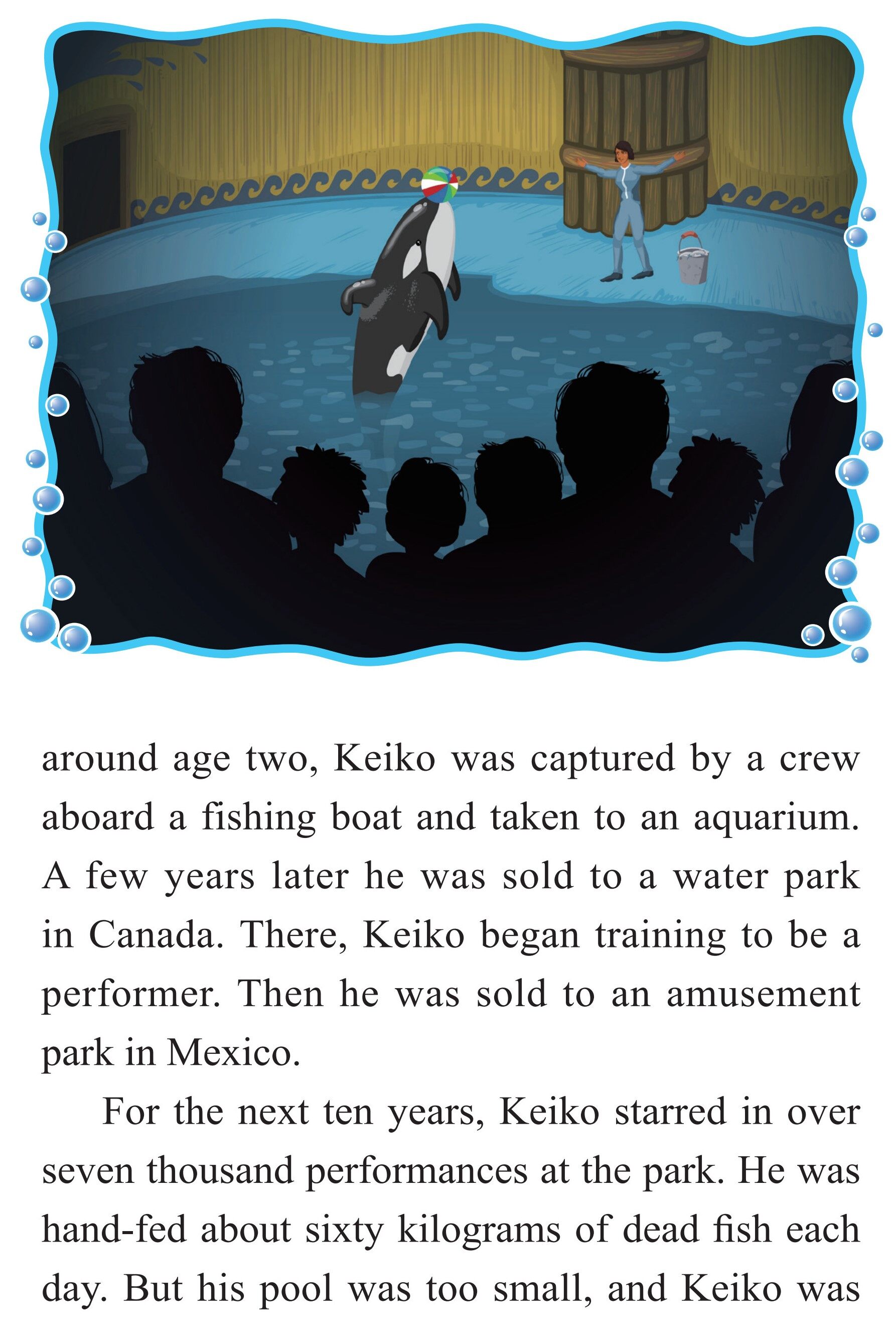Keiko:A Killer Whale's Journey to Freedom绘本故事第4页