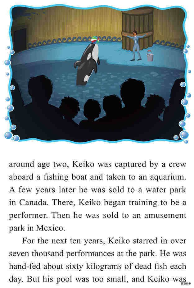 Keiko:A Killer Whale's Journey to Freedom绘本故事第4页