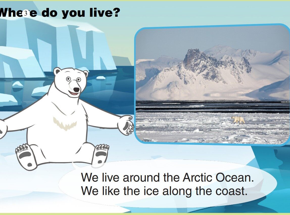 Polar Bear绘本故事第4页