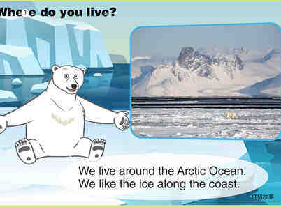 Polar Bear绘本故事第4页