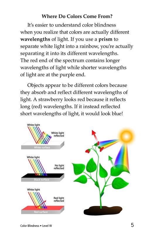Color Blindness绘本故事第4页