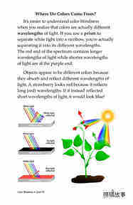 Color Blindness绘本故事第4页