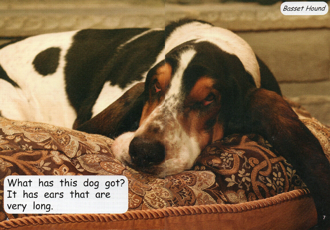 different dogs绘本故事第5页