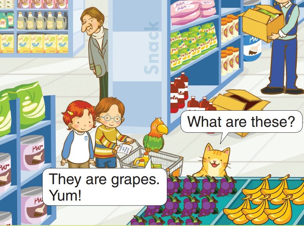 What Are These?绘本故事第4页