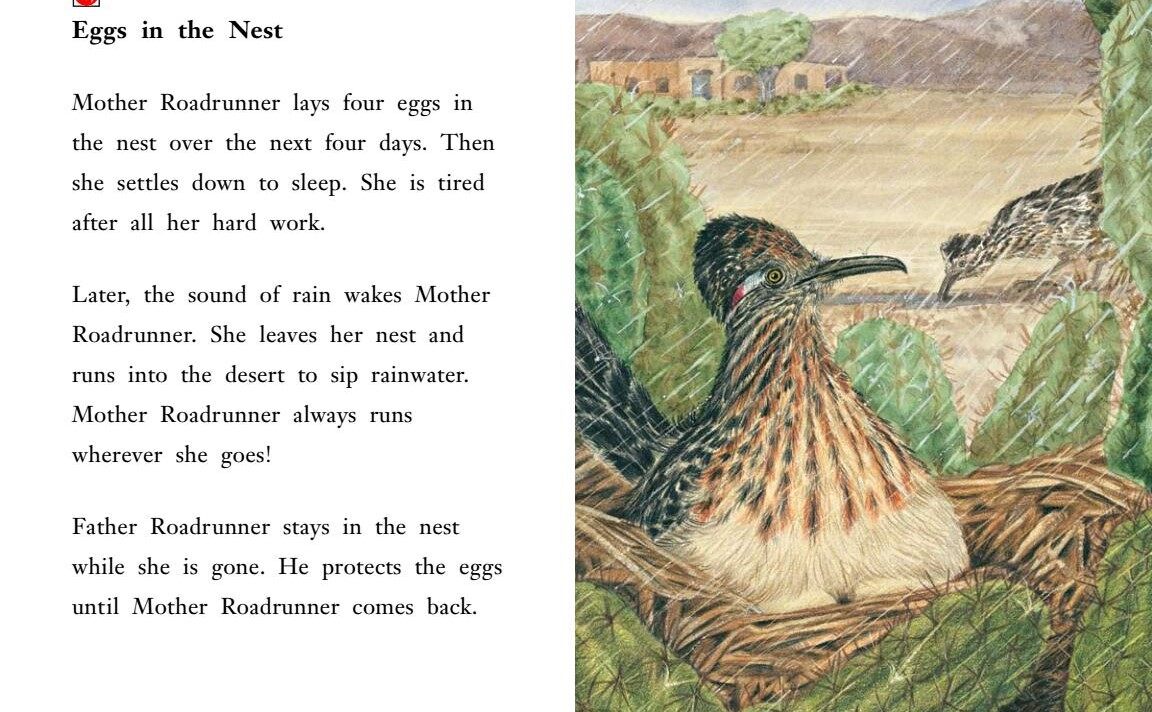 The Roadrunners绘本故事第4页