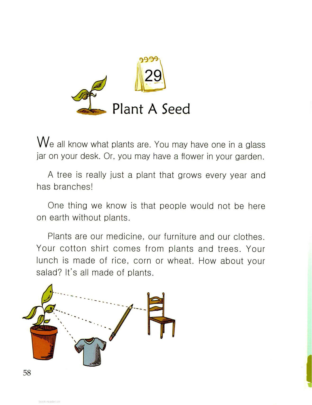 Plant A Seed绘本故事第2页