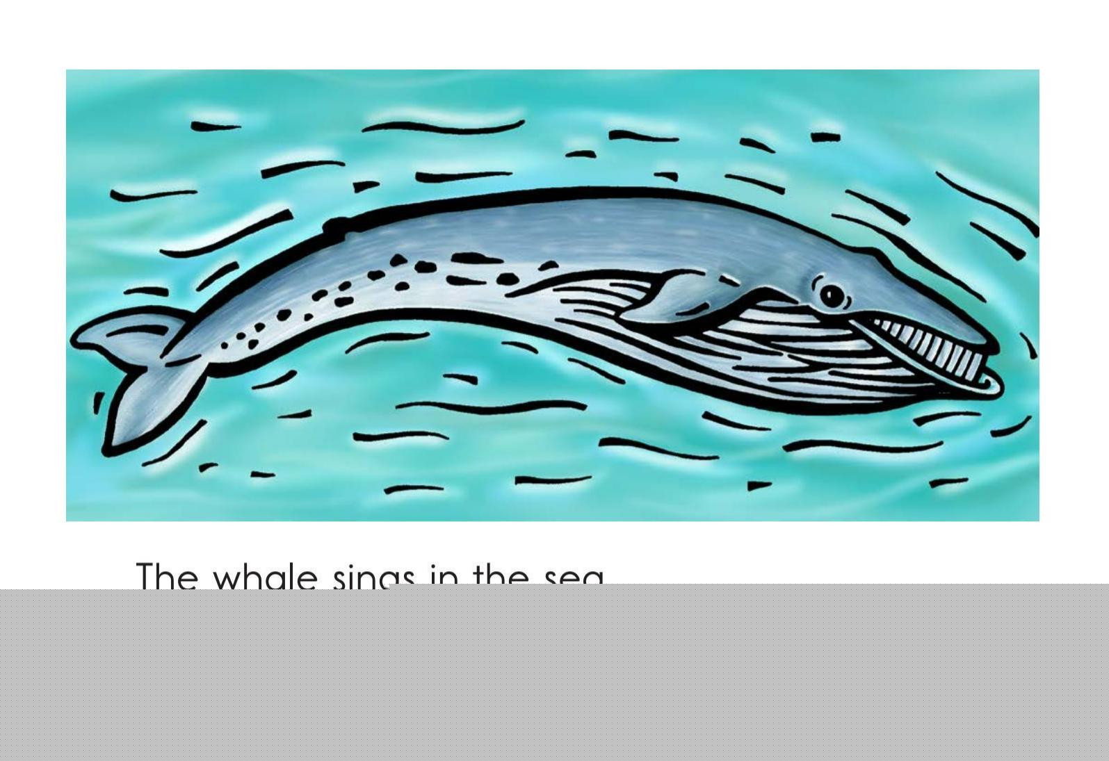 In the Sea绘本故事第3页