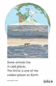 Arctic Animals绘本故事第3页