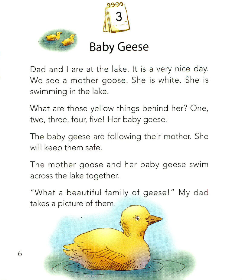 Baby Geese绘本故事第2页