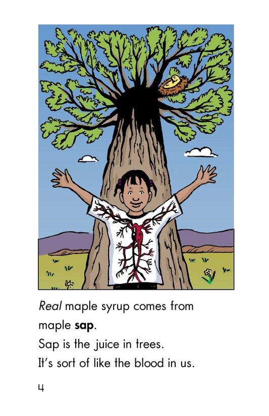 We Make Maple Syrup绘本故事第4页