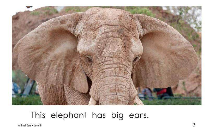 Animal Ears绘本故事第3页