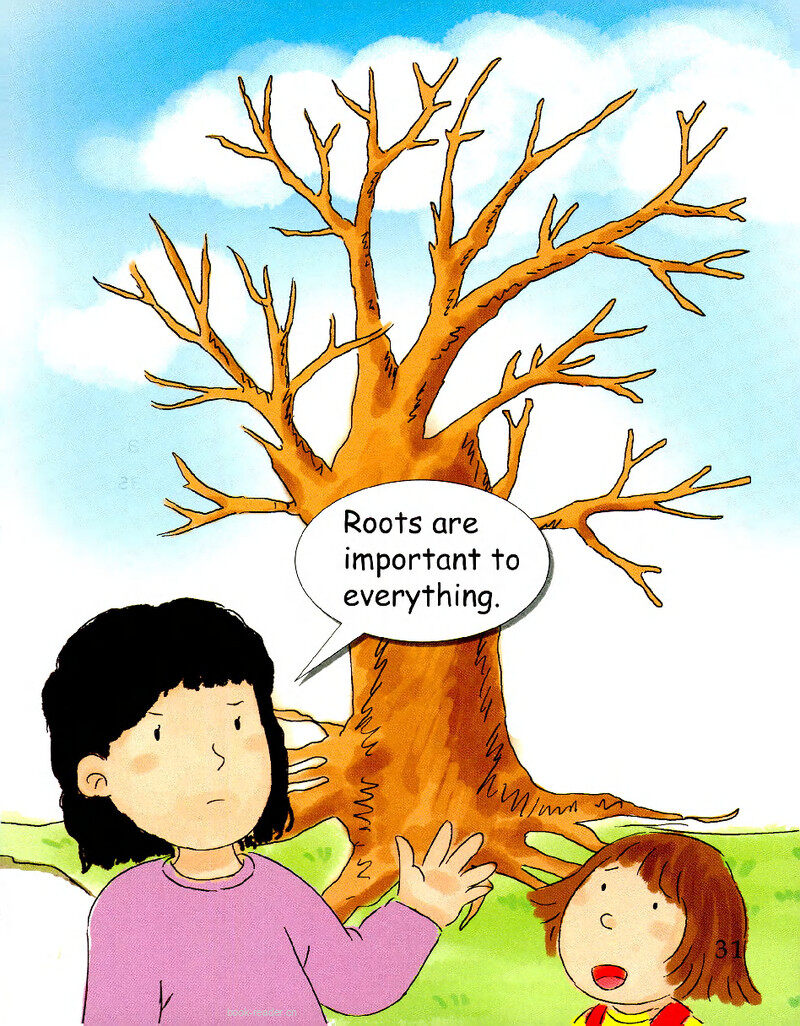 The Tree in the Backyard-2绘本故事第3页