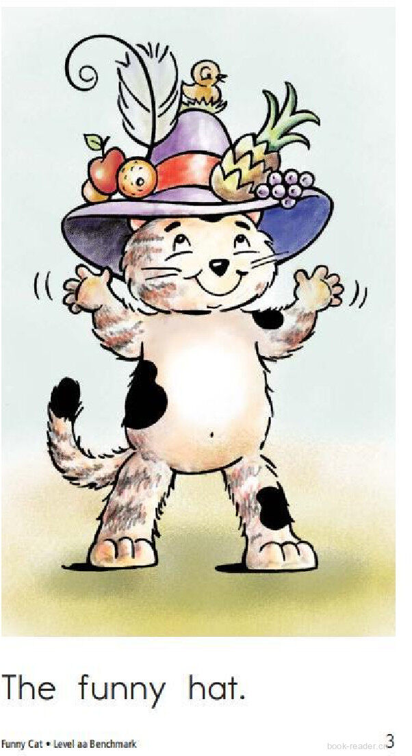 Funny Cat绘本故事第3页