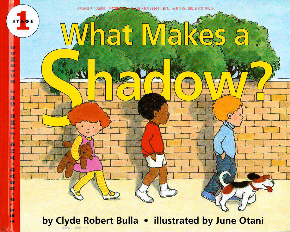 What Makes a Shadow绘本故事第2页